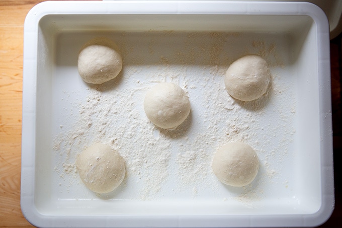 Five pretzel roll dough balls in a Dough Mate container.