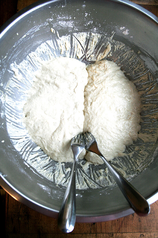 Overhead view of dividing the dough in half with two forks