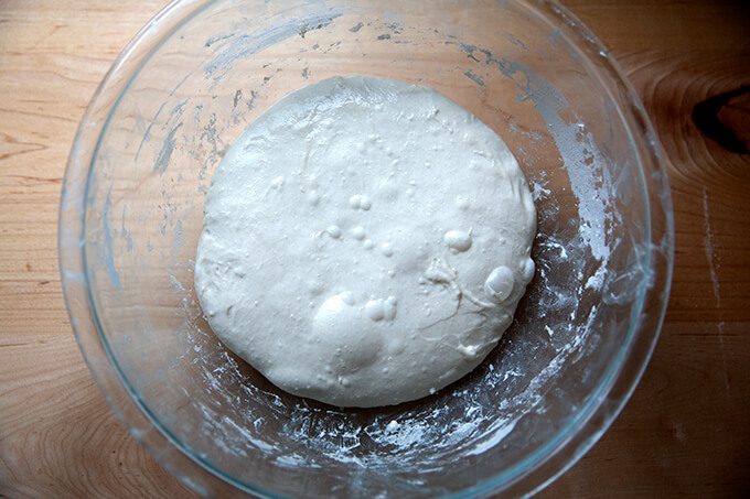 Sourdough ciabatta dough after 3 sets of stretches and folds in a glass bowl.