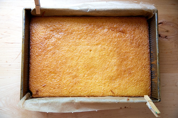 A just-baked cake in a 9x13-inch pan.