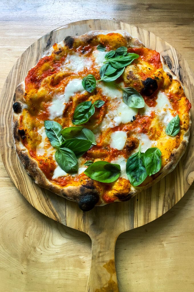 Just baked margherita pizza.