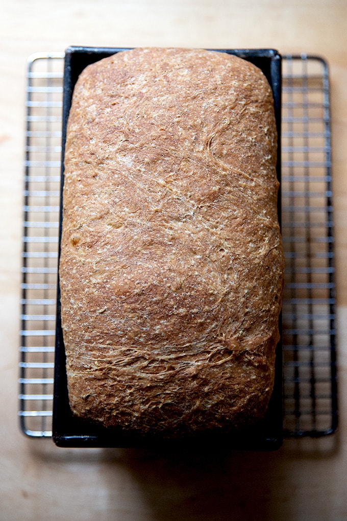 Just-baked rye loaf.
