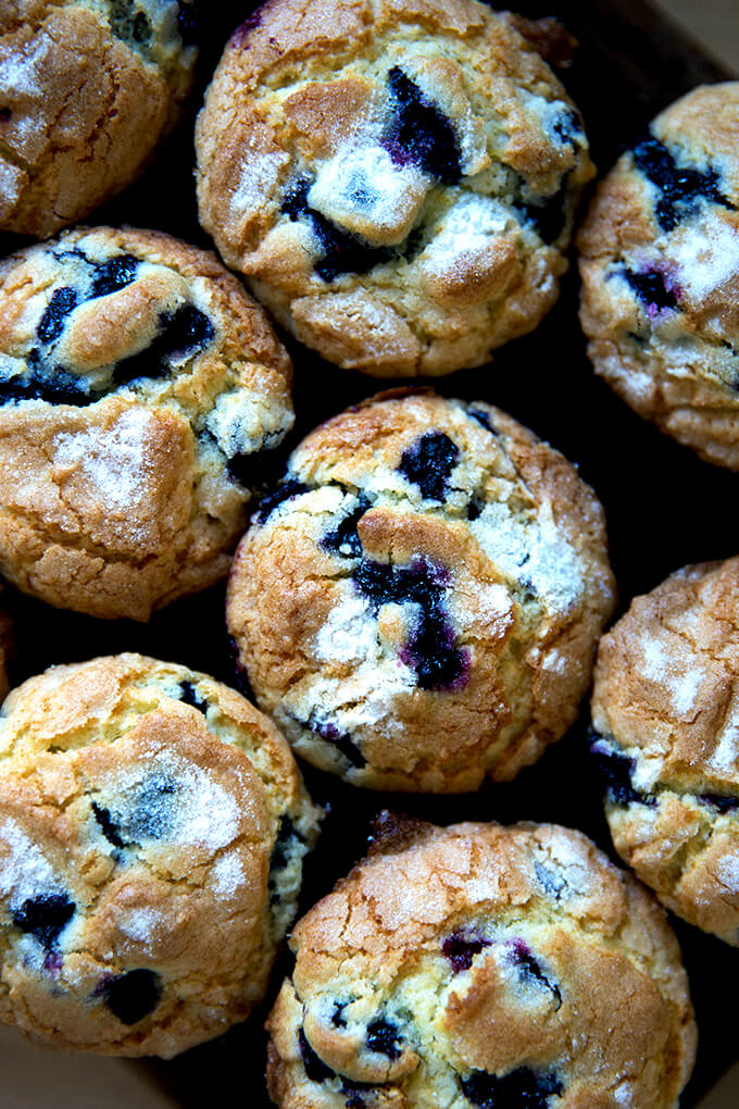 An overhead shot of just baked lemon-blueberry muffins.