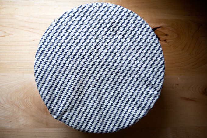 A bowl holding homemade pizza dough, covered with a cloth bowl cover. 