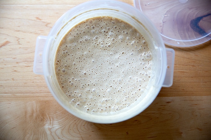 A 2-quart container filled with bubbly sourdough starter.