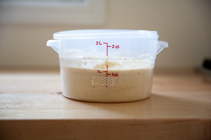A two-quart container holding sourdough starter increased in volume by 25%.