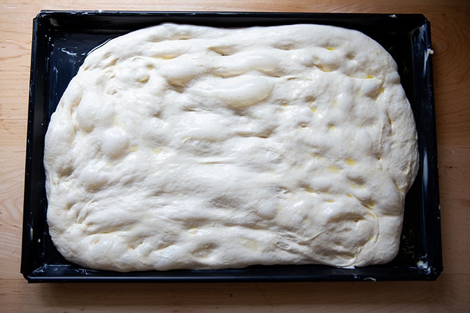 Sicilian-style pizza dough stretched to almost fit a sheet pan.