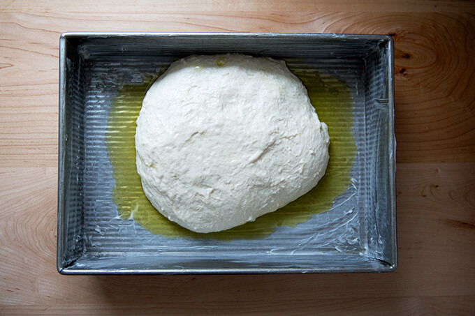 sourdough focaccia dough, ready for second rise