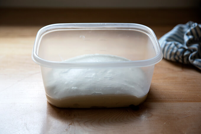 Sourdough ciabatta dough in a Tupperware on a countertop.