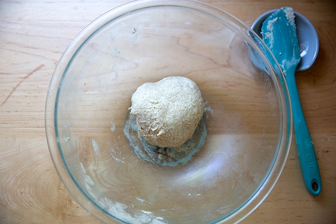 Just-mixed sourdough cracker dough in a bowl.