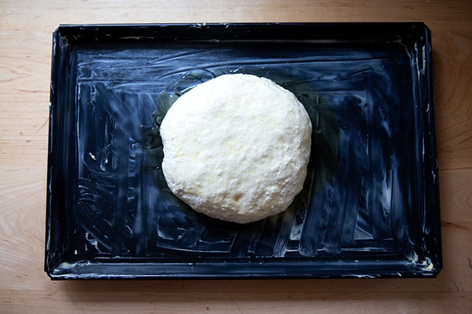 A ball of Sicilian-style pizza dough in the center of a sheet pan.
