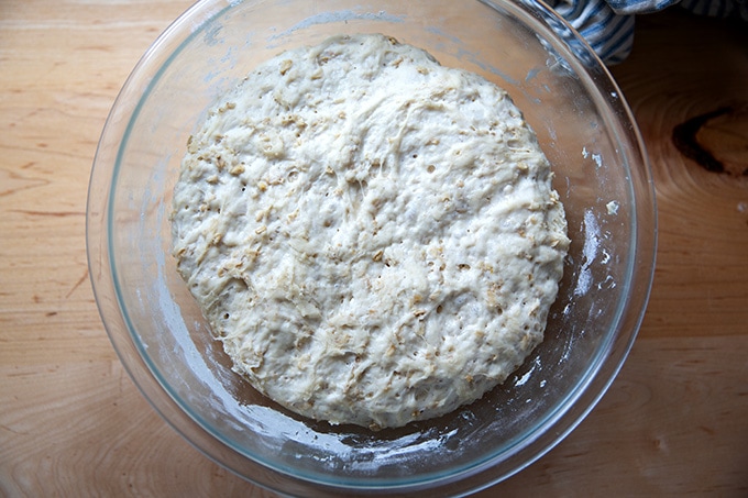 Risen oatmeal maple bread dough in a bowl.
