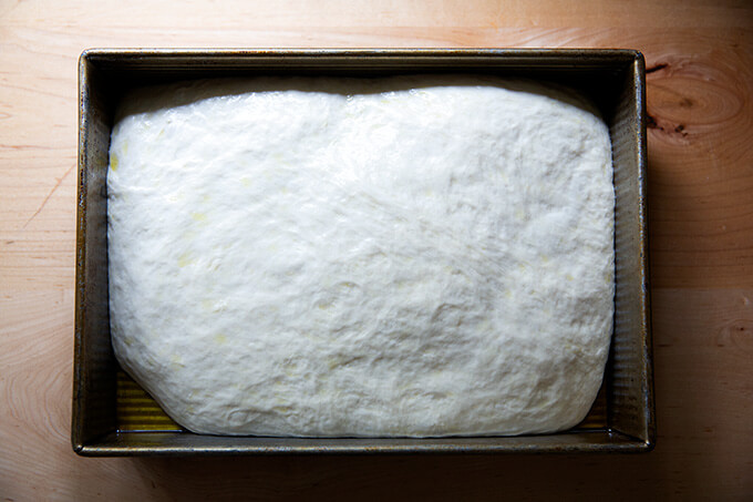 Risen focaccia dough in a 9x13-inch pan.