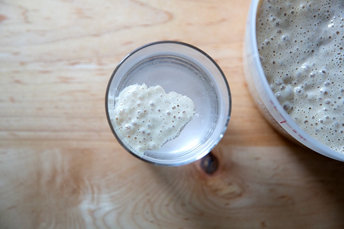 A spoonful of sourdough starter floating in a glass of water.