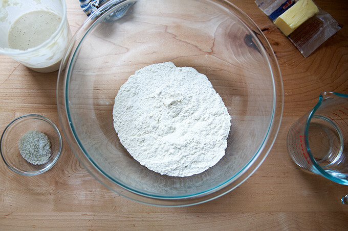 The ingredients for sourdough flour tortillas on a counter.