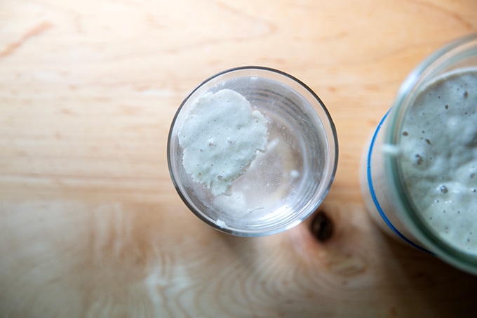 A spoonful of sourdough starter floating in a glass of water.