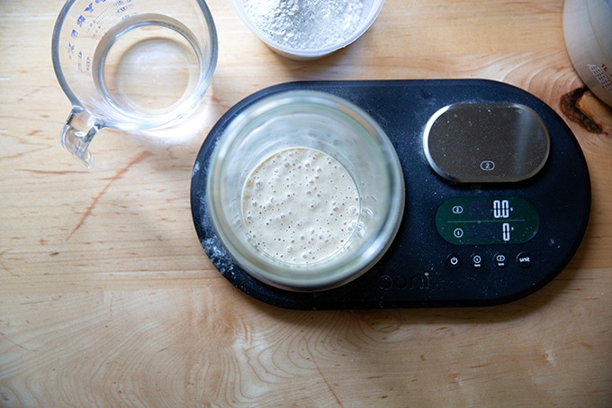 A Weck jar on a scale holding sourdough starter.
