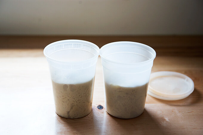 Two quart containers holding refrigerated homemade pizza dough. 