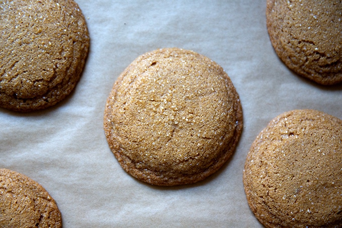 Just baked gingersnap cookies on a sheet pan.
