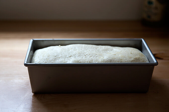 Sourdough sandwich bread dough in loaf pan, ready for the oven.
