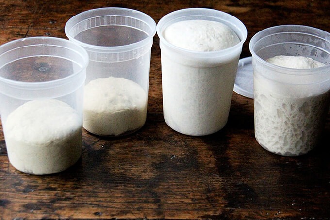 Homemade pizza dough in quart containers.