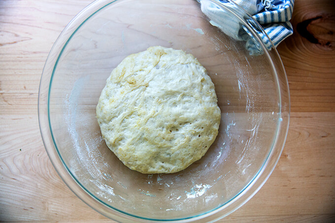 Risen pita bread dough in a bowl.