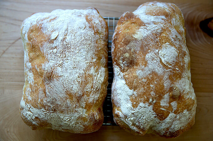 Two freshly baked loaves of ciabatta bread.