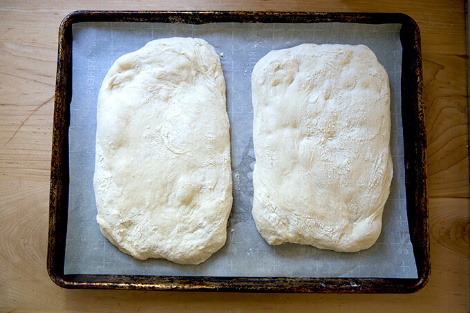 Two loaves of unbaked ciabatta bread on a sheet pan.