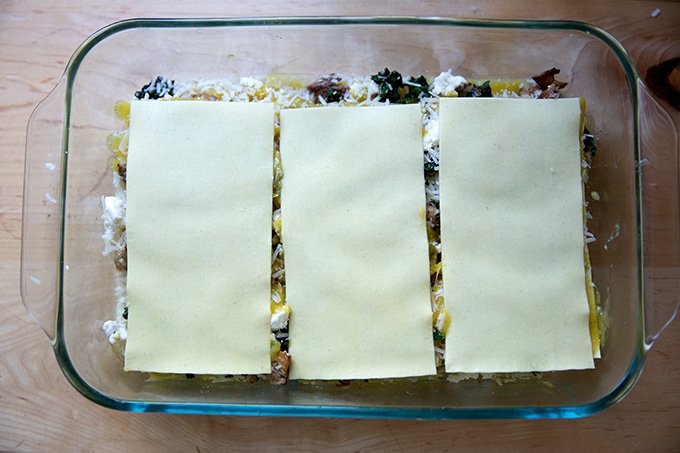An assembled, unbaked lasagna.