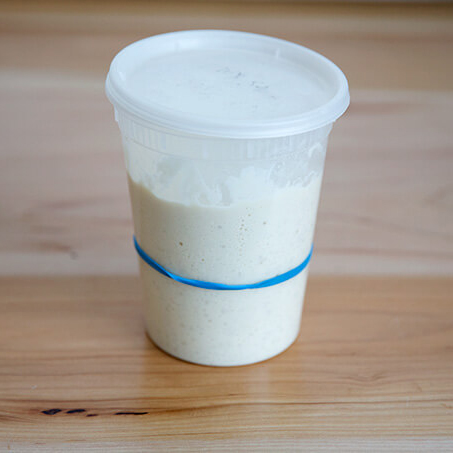 A quart container holding doubled in volume sourdough starter.