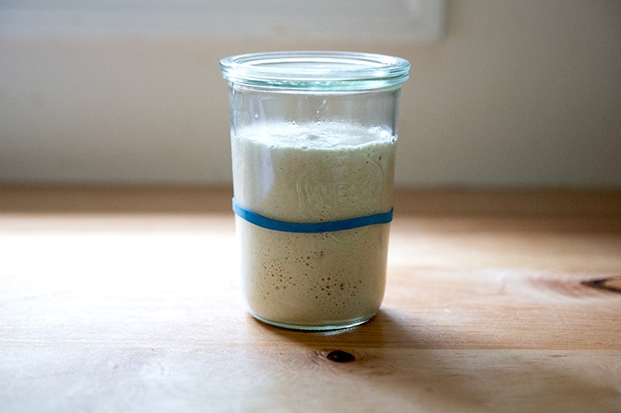 A Weck jar filled with sourdough starter doubled in volume.