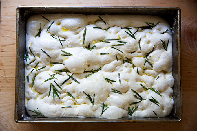Unbaked focaccia dough in a 9x13-inch baking pan. 